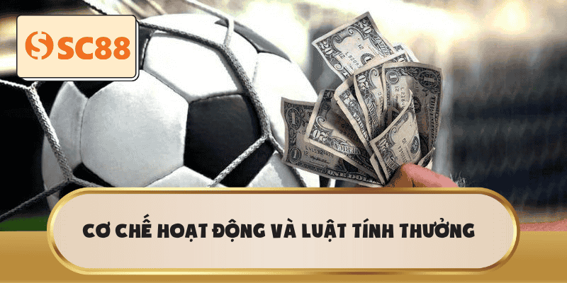 Cơ chế hoạt động và luật tính thưởng